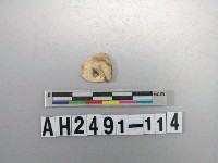 藏品(石英石片)的圖片